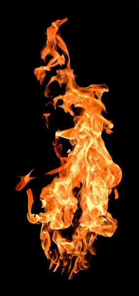 Yüksek yükselterek alevler ateş — Stok fotoğraf