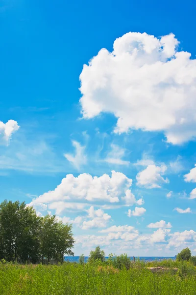 Blauwe hemel over weide — Stockfoto