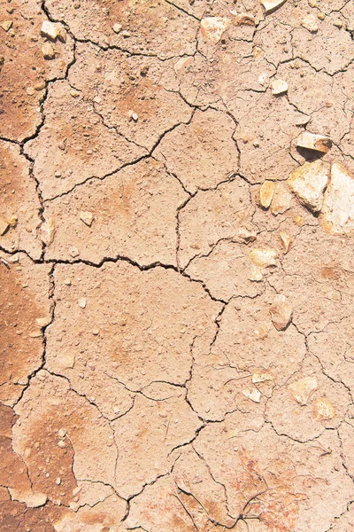 Ρωγμές σε ξηρό έδαφος — Φωτογραφία Αρχείου