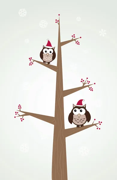 Owls couple in christmas hats on the tree branch. — Stock Vector