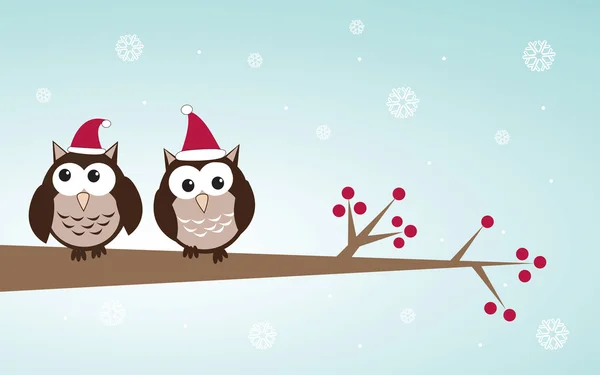 Corujas casal em chapéus de Natal no galho da árvore . —  Vetores de Stock