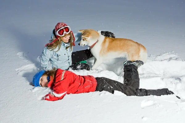 Zimní radovánky s psem akita — Stock fotografie