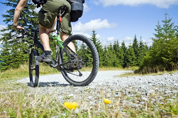Mountain biker cycling in forest — Stock Photo, Image