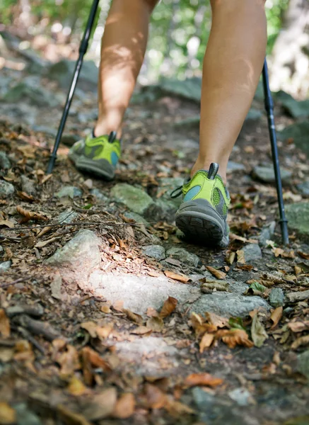 Mujer piernas senderismo en el bosque — Foto de Stock