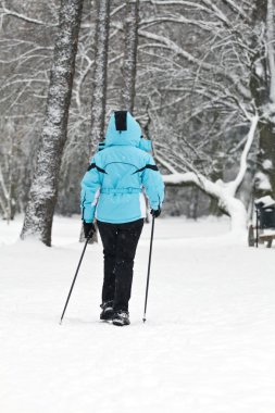 Nordic Walking on snow clipart