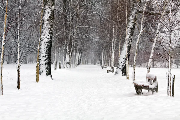 Invierno y camino en nieve — Foto de Stock