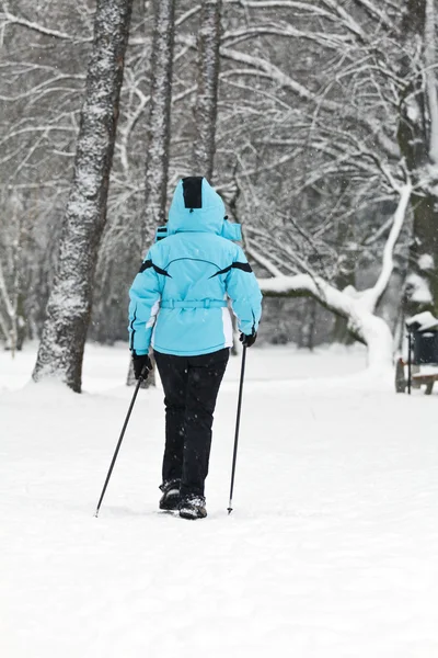 Nordic walkingu na śniegu — Zdjęcie stockowe