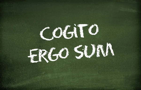 Cogito ergo sum — Zdjęcie stockowe