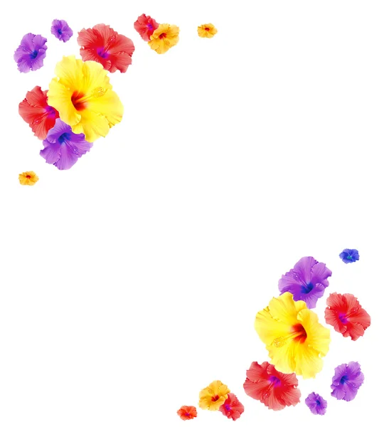 Moldura de flor — Fotografia de Stock