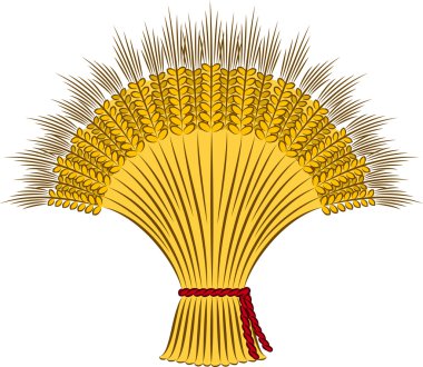 Sheaf of wheat on a white background clipart