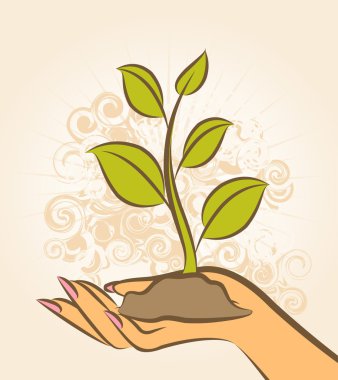 Human hand with a green plant. clipart