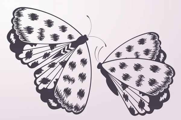 Piękne motyle — Wektor stockowy