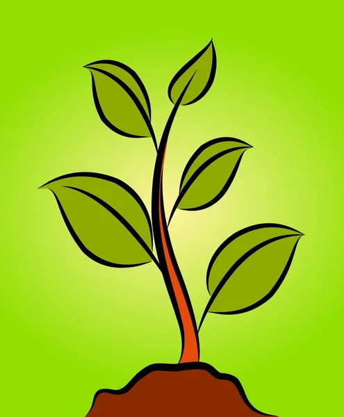 Зеленое растение . — стоковый вектор