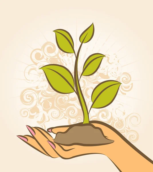 Human hand with a green plant. — Stock Vector