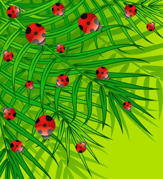 Grüner Hintergrund mit kleinem Marienkäfer — Stockvektor