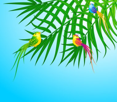 Beautiful little birds clipart