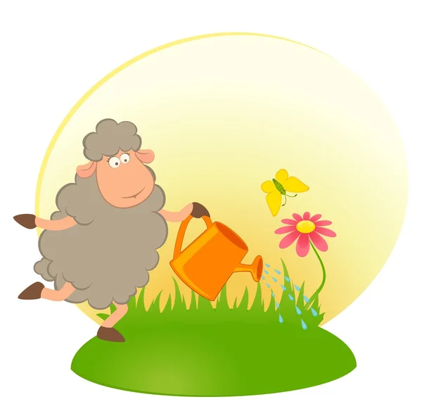 Illustrazione vettoriale di pecore dei cartoni animati versa fiori da un annaffiatoio — Vettoriale Stock