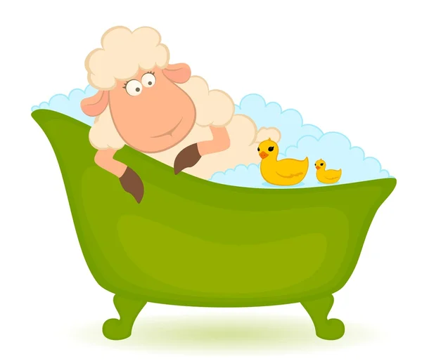 Vector cartoon sheep in bath is isolated on white background — Stock Vector