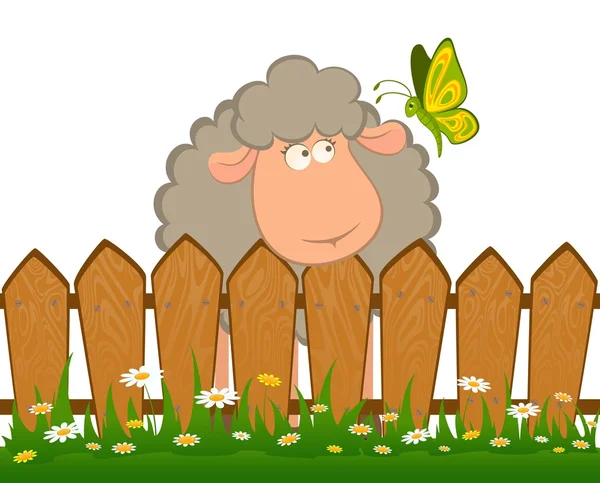 Kartun lucu domba dengan indah kupu-kupu - Stok Vektor