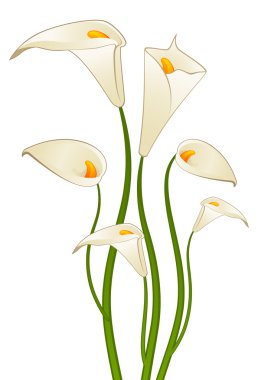 Background with beautiful tropical lillies clipart