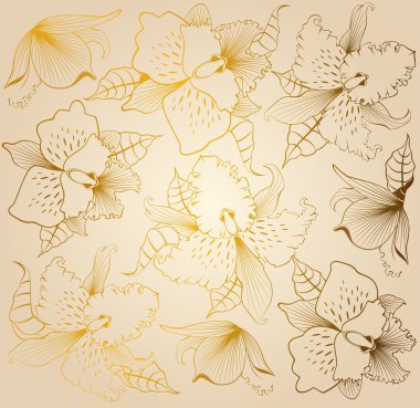 Background with beautiful orchids clipart