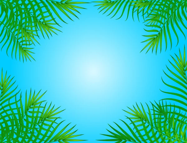 Krásné palm branchs. vektor — Stockový vektor