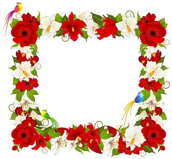 Arrière-plan avec de belles fleurs — Image vectorielle