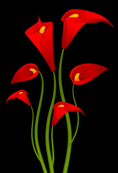 Vackra tropiska lillies — Stock vektor