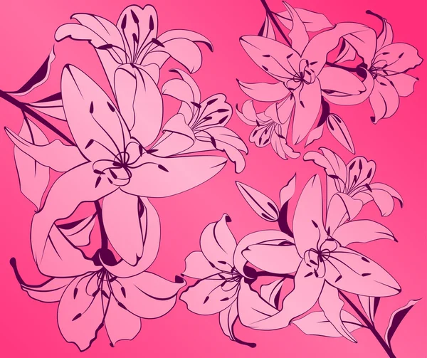 Beautiful tropical lillies — Stock Vector