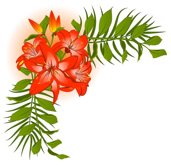 Vackra tropiska lillies — Stock vektor