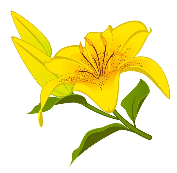 Hintergrund mit Blumen. Vektor — Stockvektor