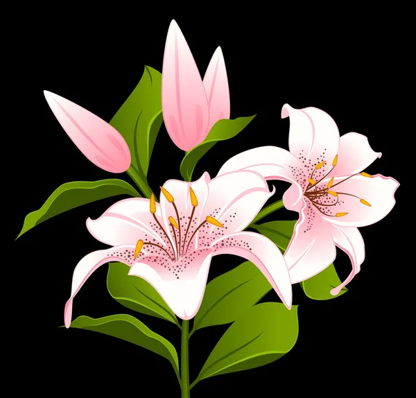 Φόντο με λουλούδια. διάνυσμα — Διανυσματικό Αρχείο