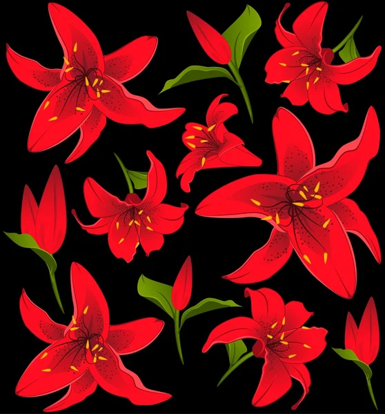Φόντο με όμορφο τροπικό lillies — Διανυσματικό Αρχείο