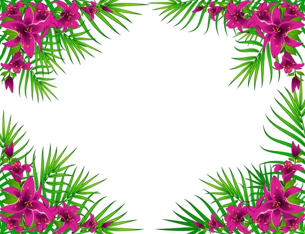 Hintergrund mit schönen tropischen Lilien — Stockvektor