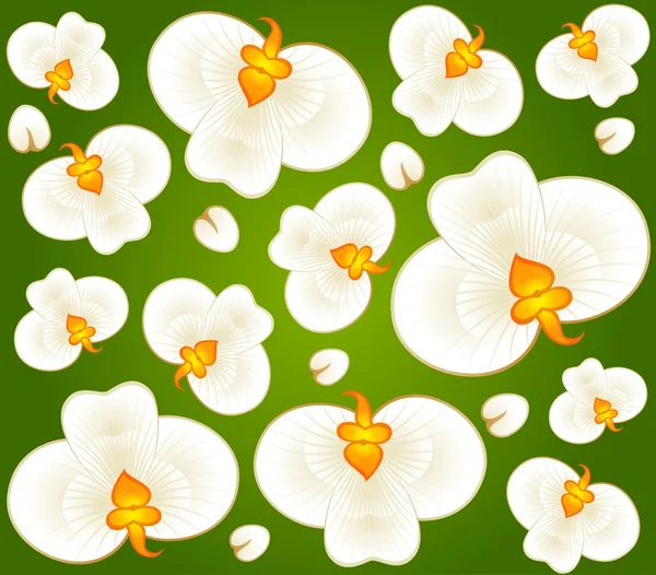 Arka plan ile güzel orkide — Stok Vektör