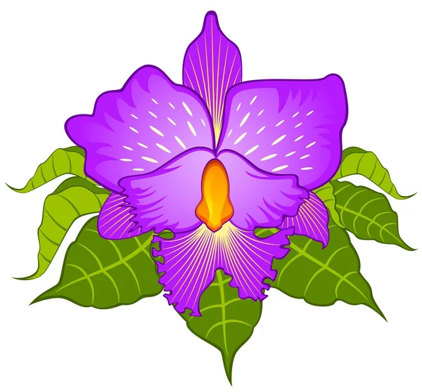 Fondo con hermosas orquídeas — Vector de stock