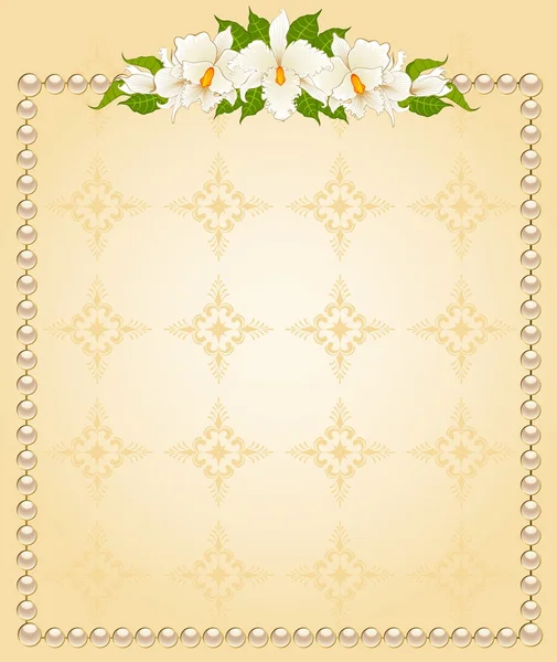 Arrière-plan avec de belles orchidées — Image vectorielle