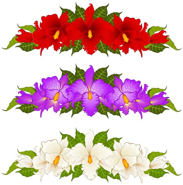 Fondo con hermosas orquídeas — Archivo Imágenes Vectoriales