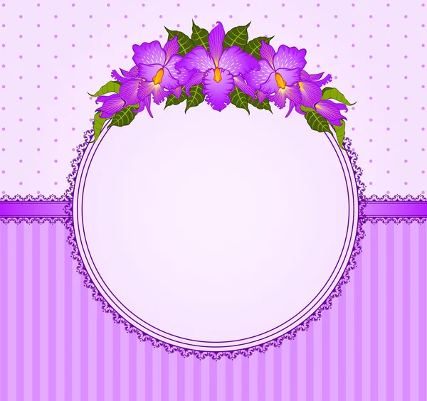 Background with beautiful orchids — Stock Vector