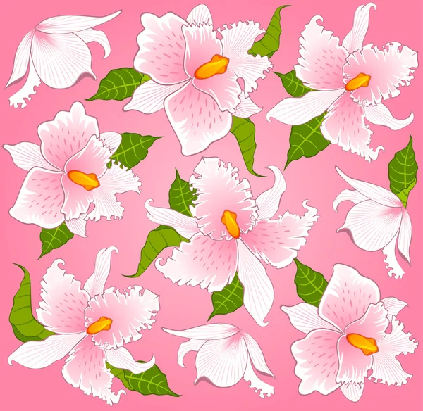 美丽的兰花背景 — 图库矢量图片