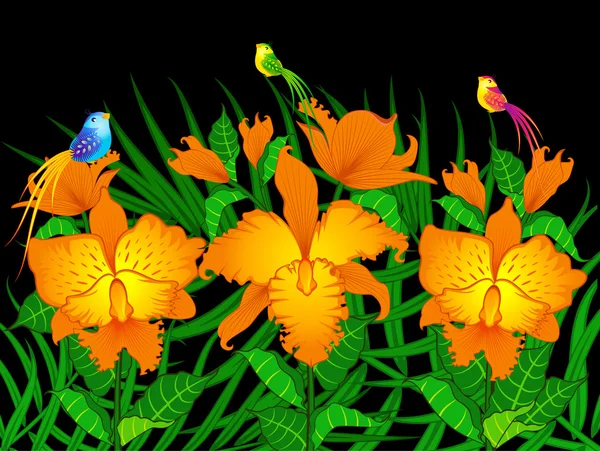 美しい蘭の花の背景 — ストックベクタ