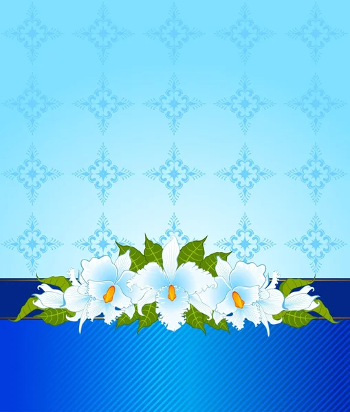 Background with beautiful orchids — Stock Vector
