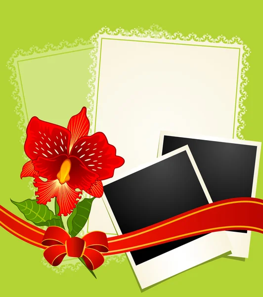 Photo frames with flowers — Stock Vector