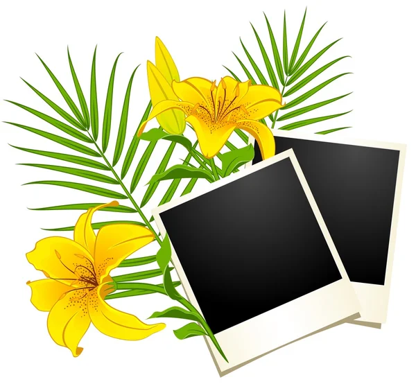 Photo frames with flowers — Stockový vektor