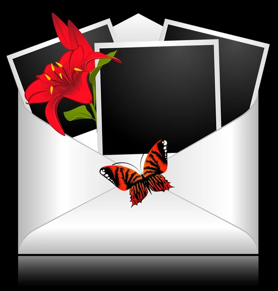 Cadres photo avec fleurs et papillons — Image vectorielle