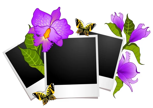 Fotoğraf çerçeveleri ile çiçekler ve kelebekler — Stok Vektör