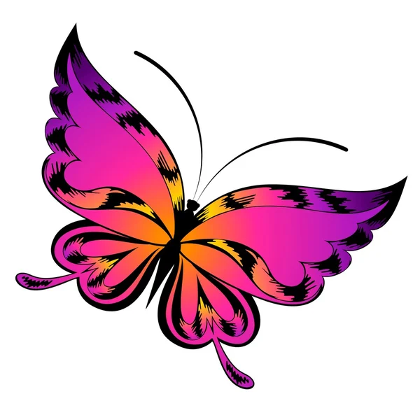 The beautiful butterfly. Vector — Stock Vector