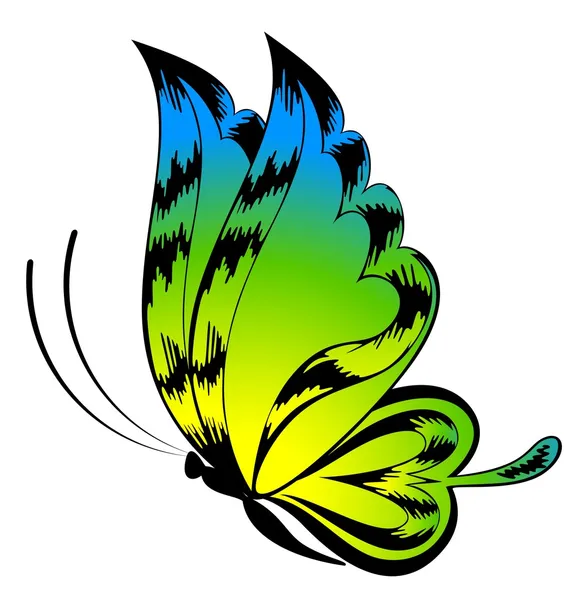 Η όμορφη πεταλούδα. διάνυσμα — Διανυσματικό Αρχείο