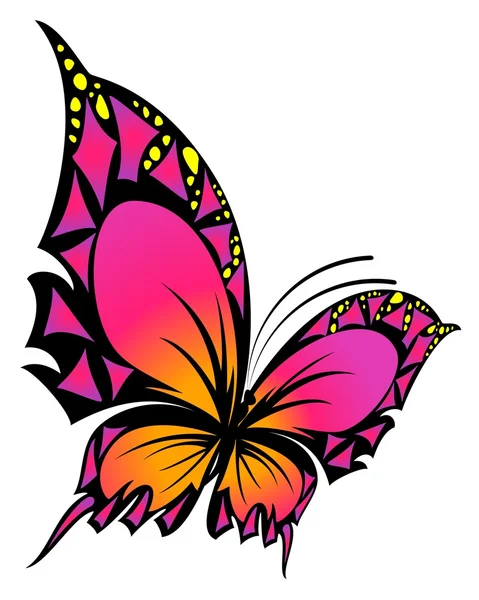 La bella farfalla — Vettoriale Stock