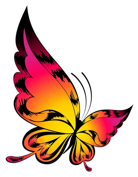 Vacker fjäril — Stock vektor